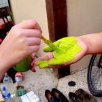 b79221b1-b33f-4fdb-ba66-d27e7a3bf2d5